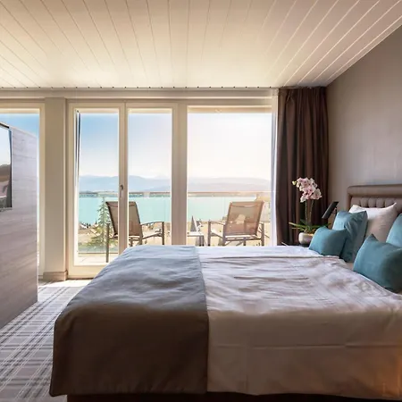 Ambassador Boutique 4* Nyon